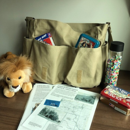 Satchel bag with stuffed lion, games, and information sheets.