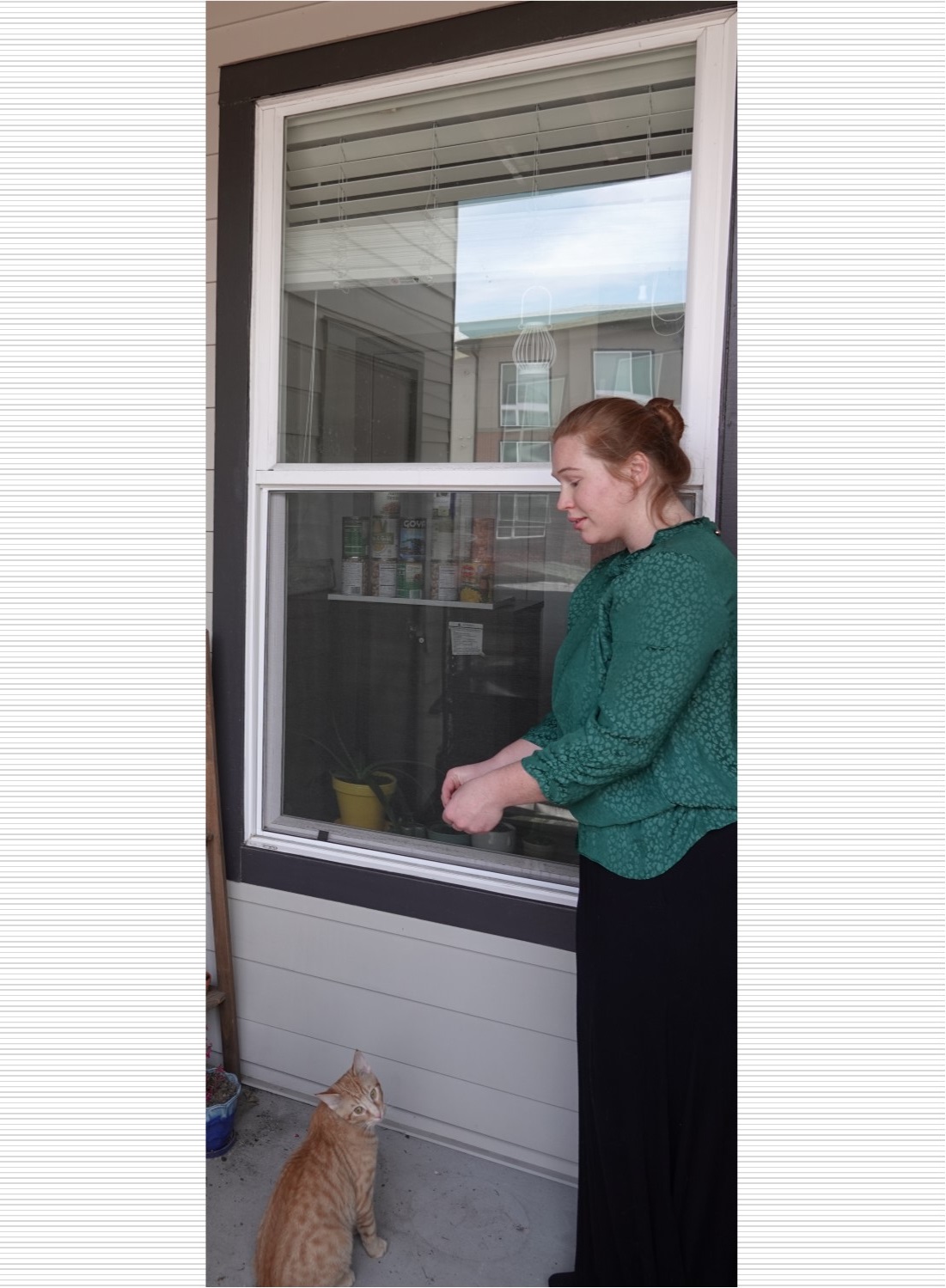 Woman standing in front of a window and holding hand out to a cat.