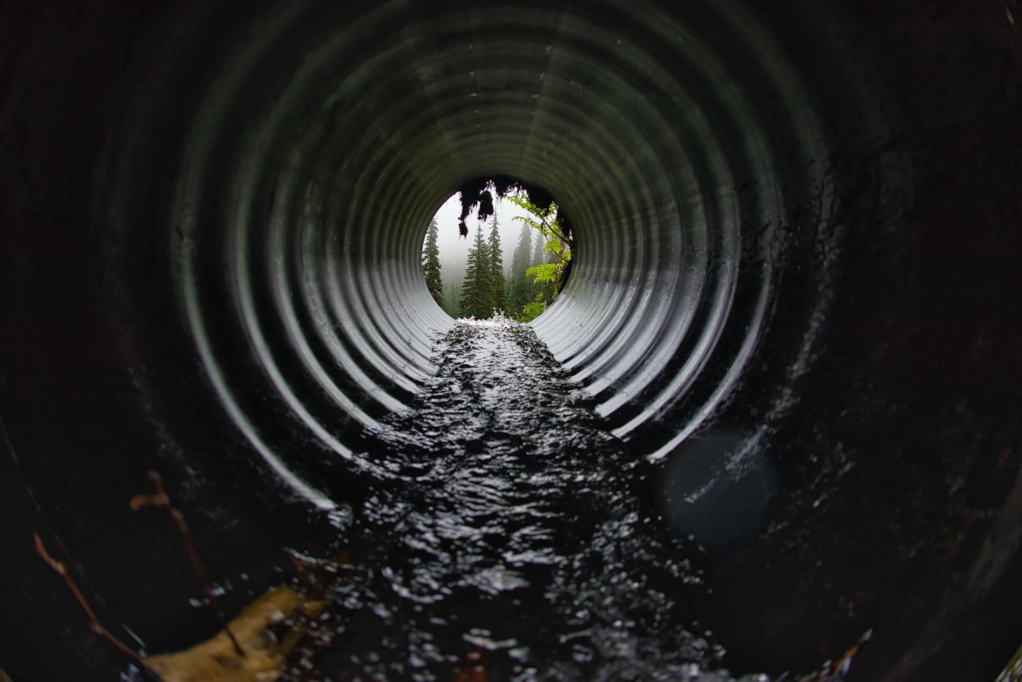 Sewer hole with evergreen trees at the end