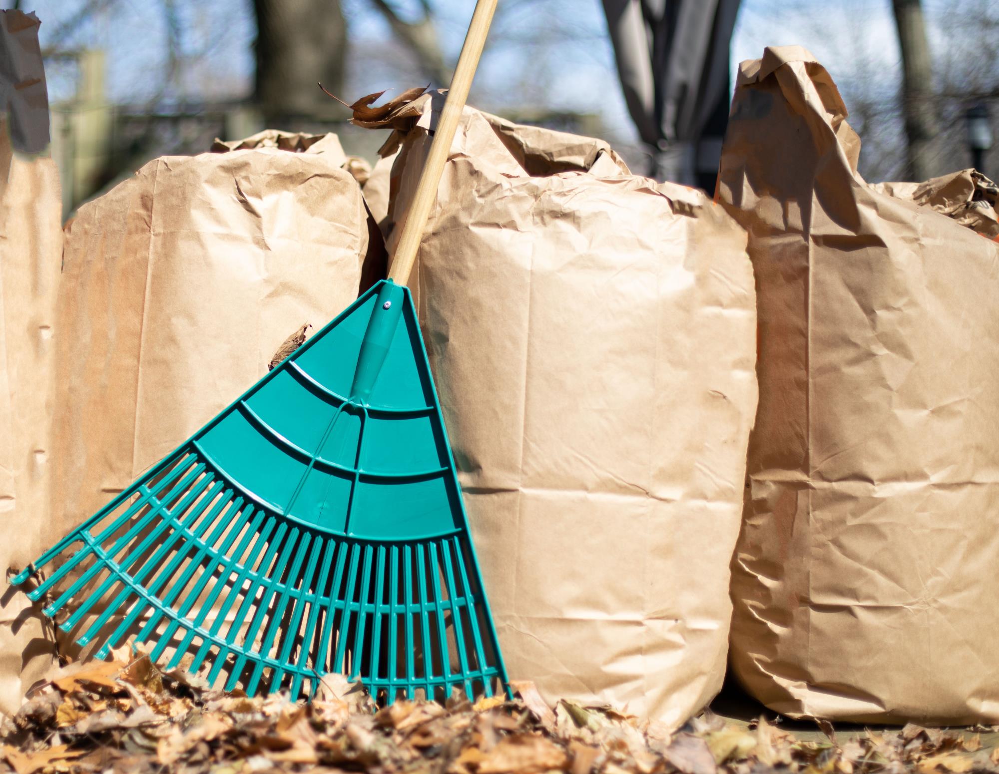 Leaves in compost bags with rack standing against