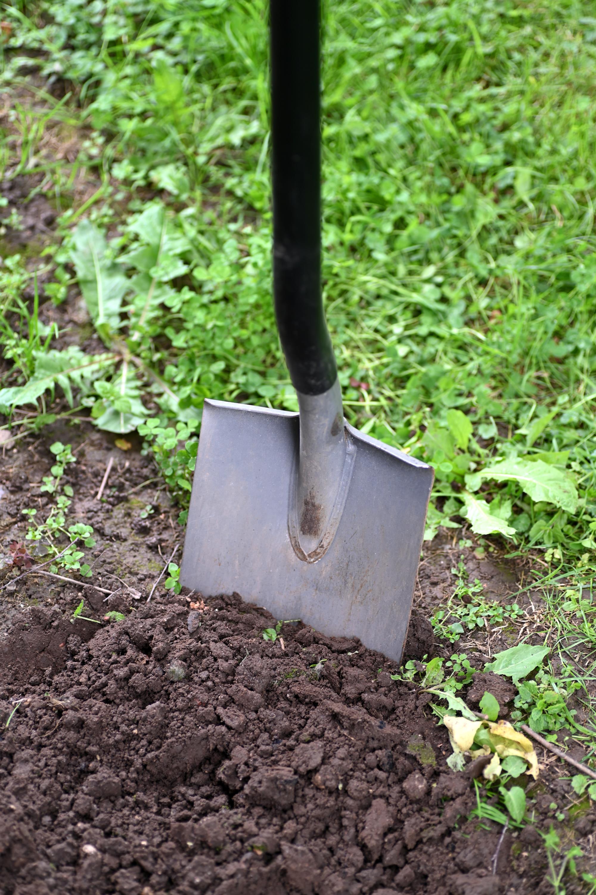 Shovel in dirt standing upright