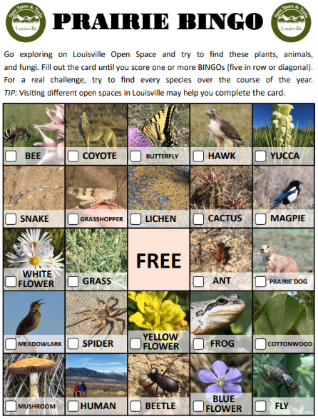 Bingo Card with Prairie Wildlife