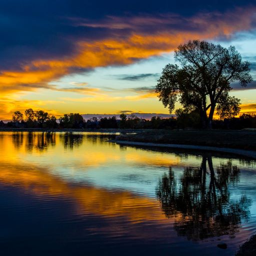 Sunrise with tree reflecting in lake