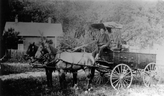 Syrian salesman driving a horse and buggy