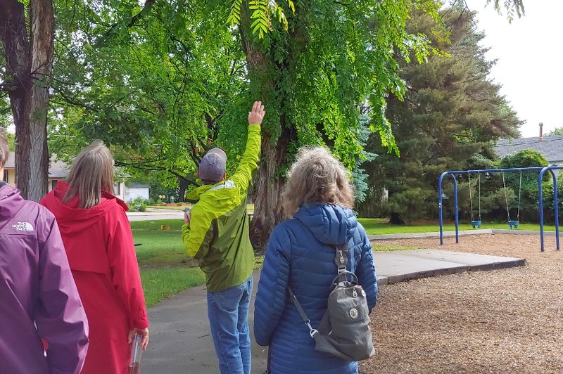 Man gesturing towards a tree