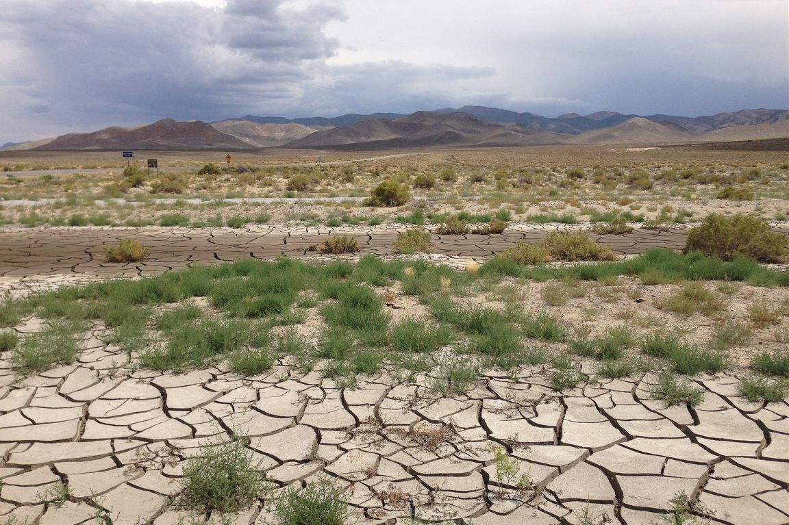 Drought - Image 1