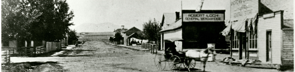 An early view of downtown Louisville, with white horse and buggy in foreground.