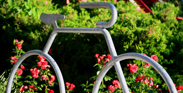 Bike Rack